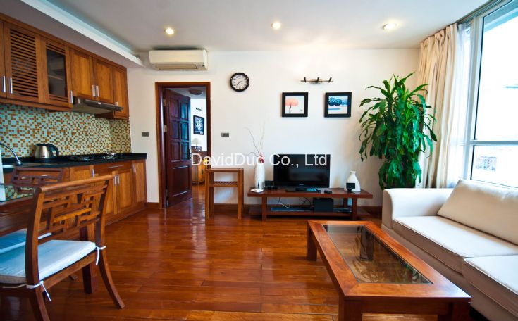 Lovely 1 bedroom apartment in Mac Dinh Chi 2
